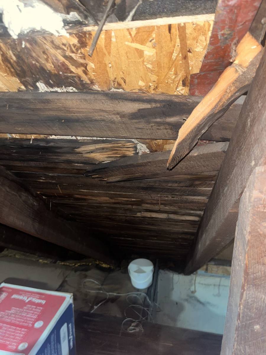 Rotted roof boards seen from underneath